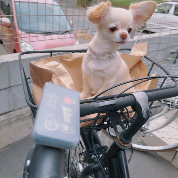 4d8d022e fe88 45ad a762 af1a4e8ec118 1757930455848