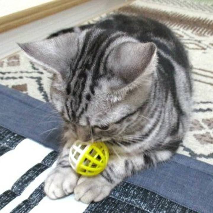 4d8d6b7c 560e 4952 8950 3a880d25855f 1541668216091