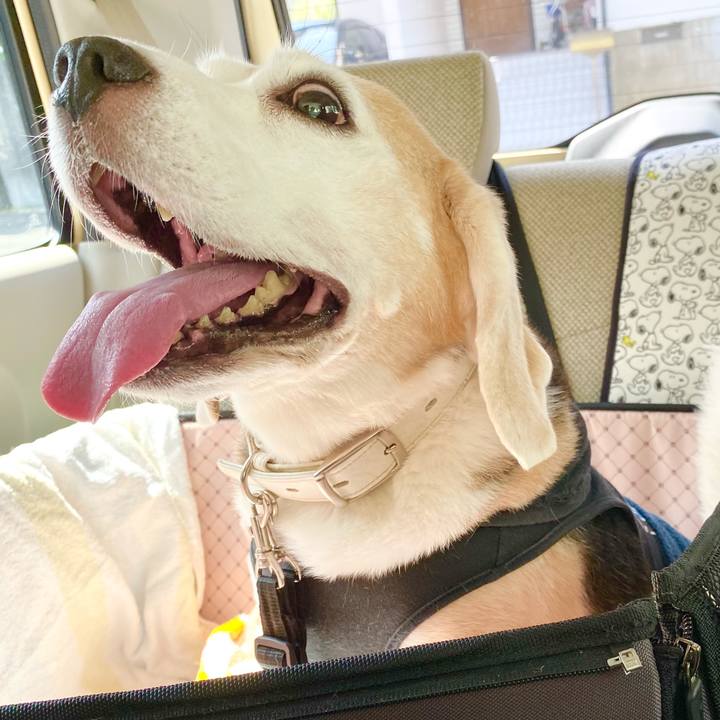 4d8d7786 15d8 4998 a52e 24bf42b53c13 1630991411496