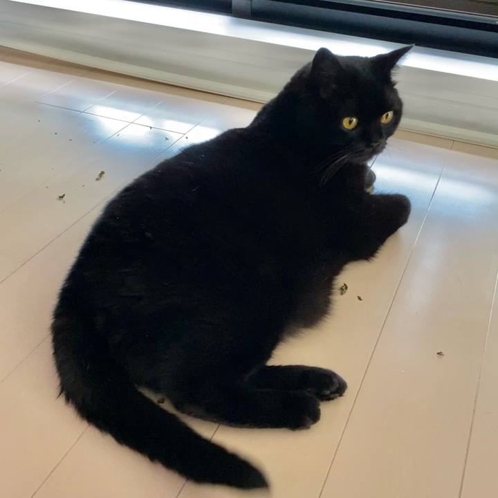 4d8d9227 925b 4a49 beb6 9873077c4800 1625367886539