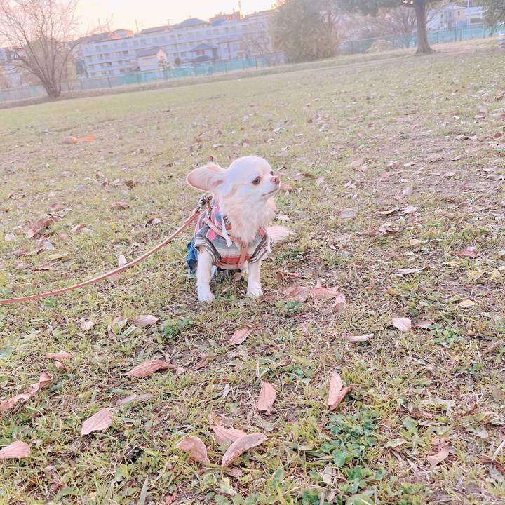 4d8d97dd 25ec 442e a834 340ee98ad55b 1670838986927