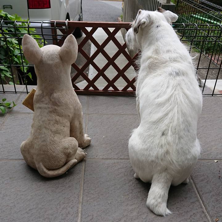 4d8db4b3 309c 4261 8174 84af2e77ae92 1541546421500