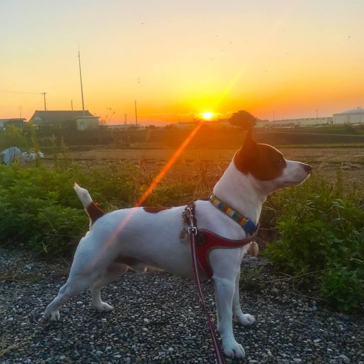 4d8dc0da b656 46f3 a0ed 9637e93bbfd1 1509973042180