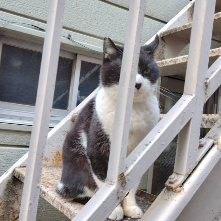 4d8dd2d9 9fcf 4bba 83ad c538125793d6 1708243353134