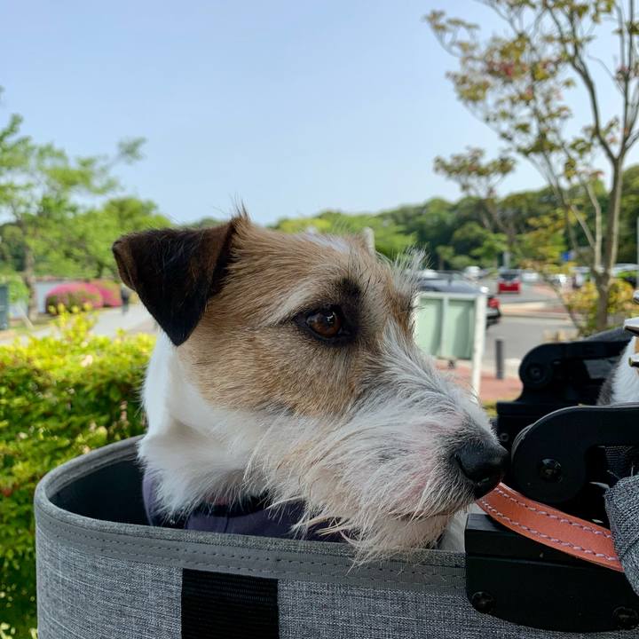 4d8de182 4635 4507 ab7b 5ea9ac18728d 1620192260330