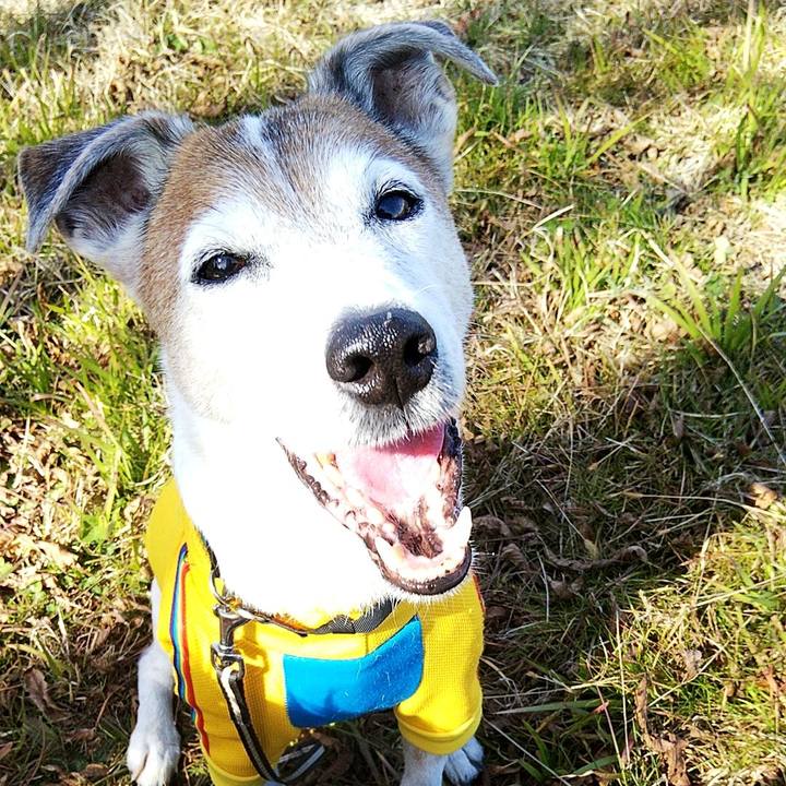 4d8e29a3 9c3c 454b 8736 8be2f213dae3 1580020128963