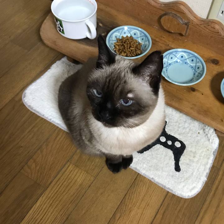 4d8e3976 531a 448c 9cbf 27a5458843f0 1539129555218