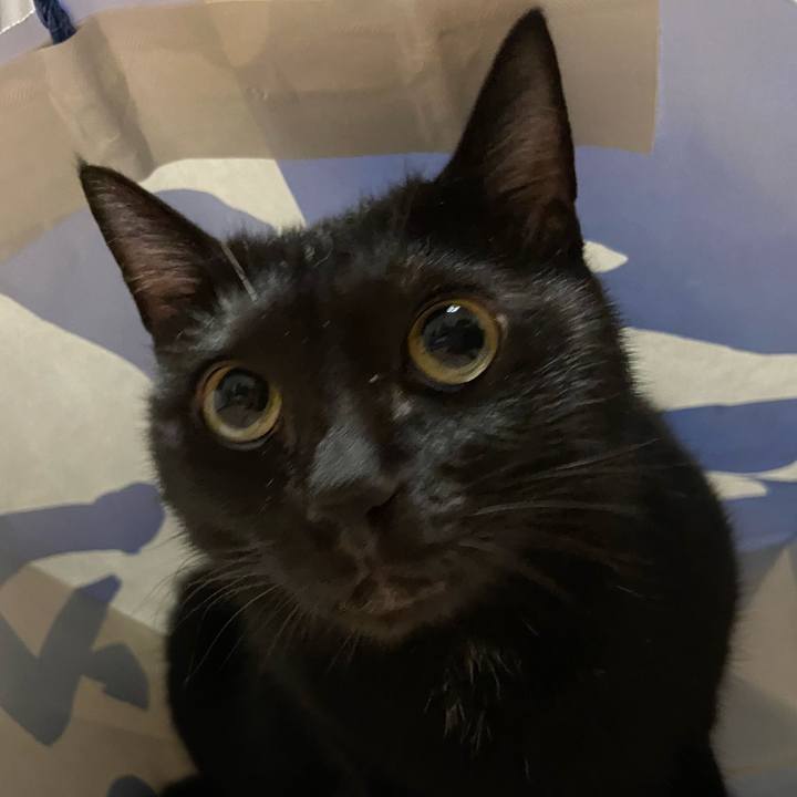 4d8e55d2 23b9 4da9 ba2f 2cd99a700ea2 1662118966134