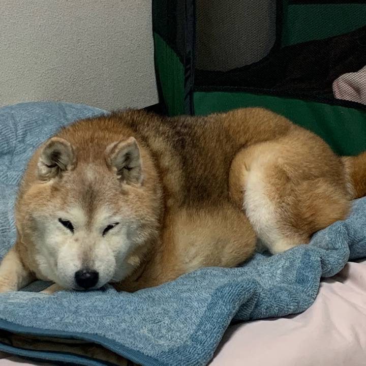 4d8e6aba 1d5c 4ba3 91d6 6b24a7e5df69 1682510394755