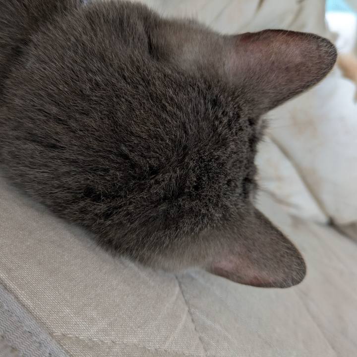 4d8e7157 acd7 4929 a9fd 0ccad6bd356e 1746146644788