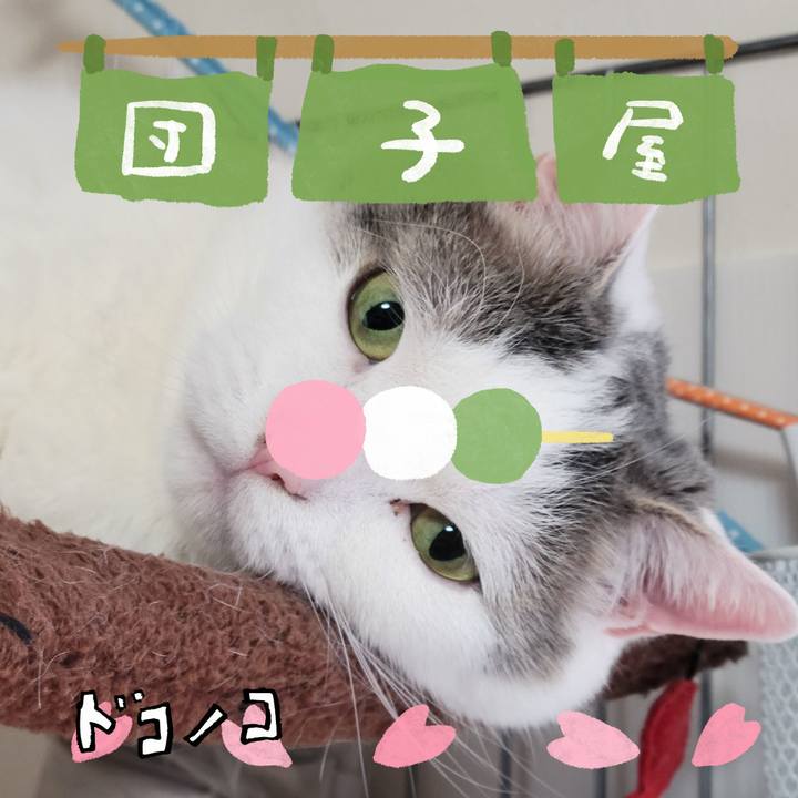 4d8e724c a37e 4e60 b058 b7ec44098171 1712235196270