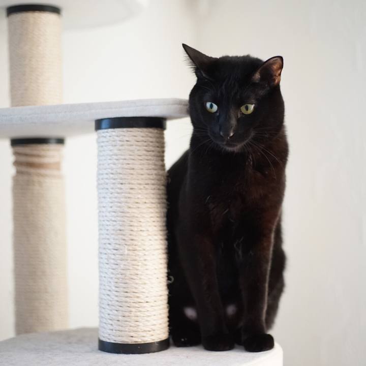 4d8e87bc 6992 4fc3 8d66 2f23cbc43f10 1518046612038