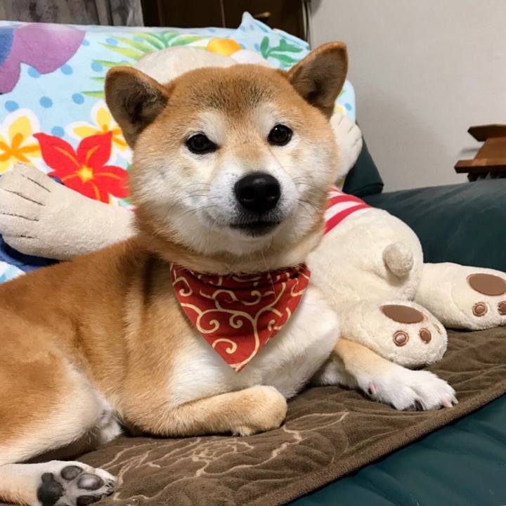 4d8e90f8 3a92 4825 bfa6 7db8ddc6838b 1542801109124