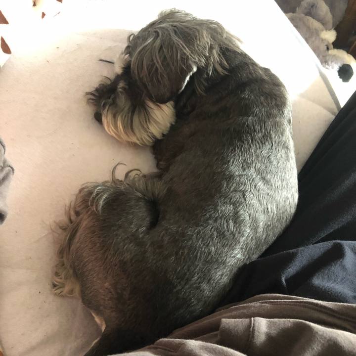 4d8e98e4 9dce 443f b656 c703a4c9e4a2 1682745155004