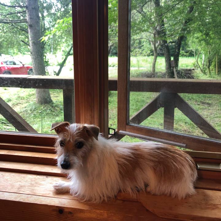 4d8eb0dc 8bcf 4dec a947 51c9bc62f08b 1604903122849