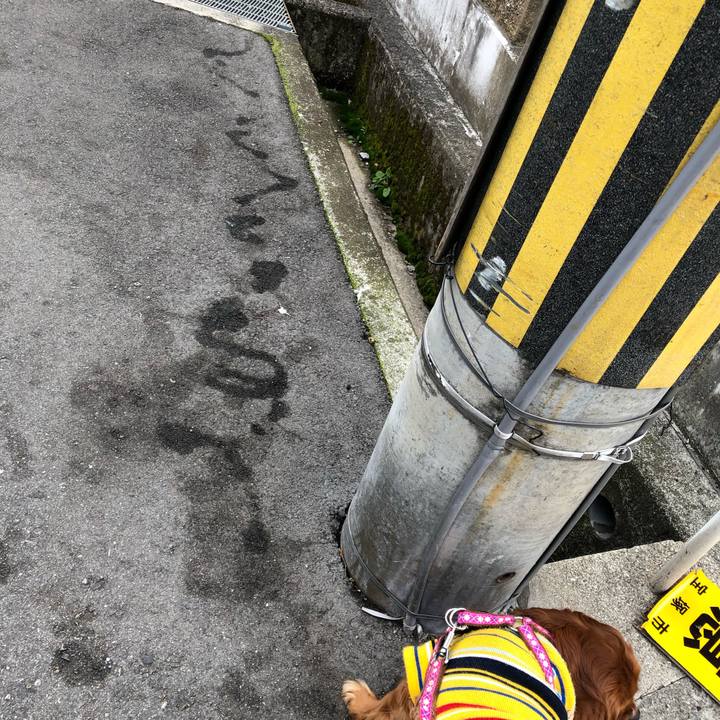 4d8edce9 f8fa 431f 81c7 2cac1b0a7405 1643418183753