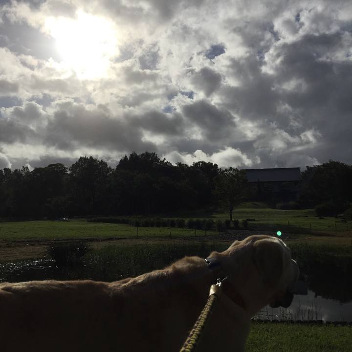 4d8eddaa d71c 496c 96cc 400cee53020f 1538913333049