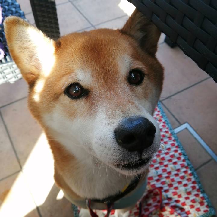 4d8f271d b9e0 4748 a0db f51e2fc5488b 1676180836615