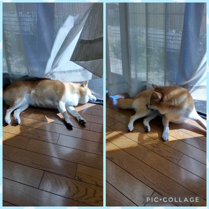 4d8f985a ca12 4c3f 946a 08a53cd927d7 1761713730676