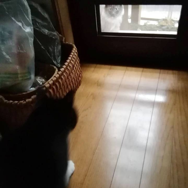 4d8fc78d 390d 4673 bf8d ba3985271c79 1613397065330