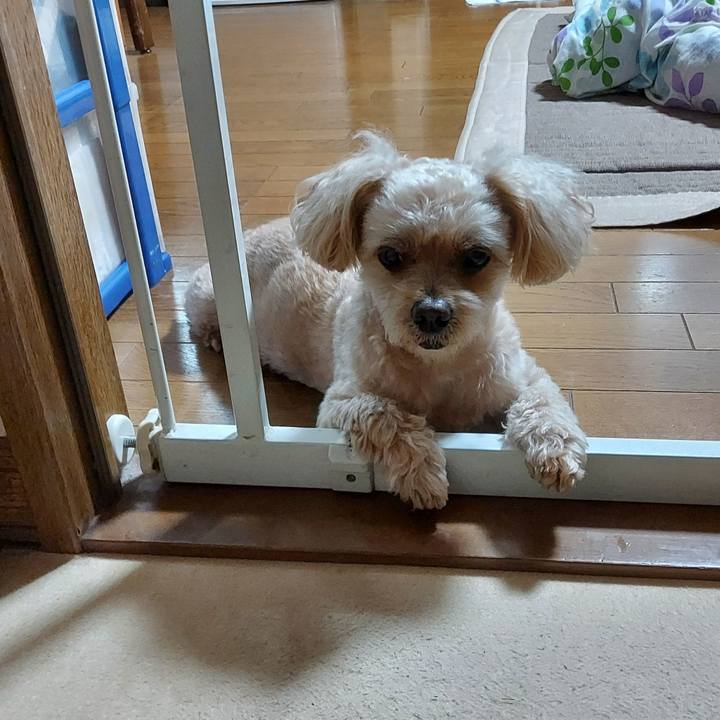 4d8fc9a0 58d9 4116 8ada 1d82f91e7564 1689151816533