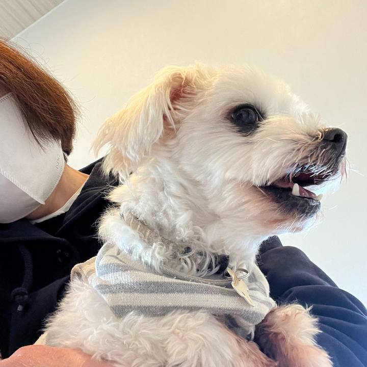 4d900667 a796 420a 87c9 36b312553a03 1765001101535