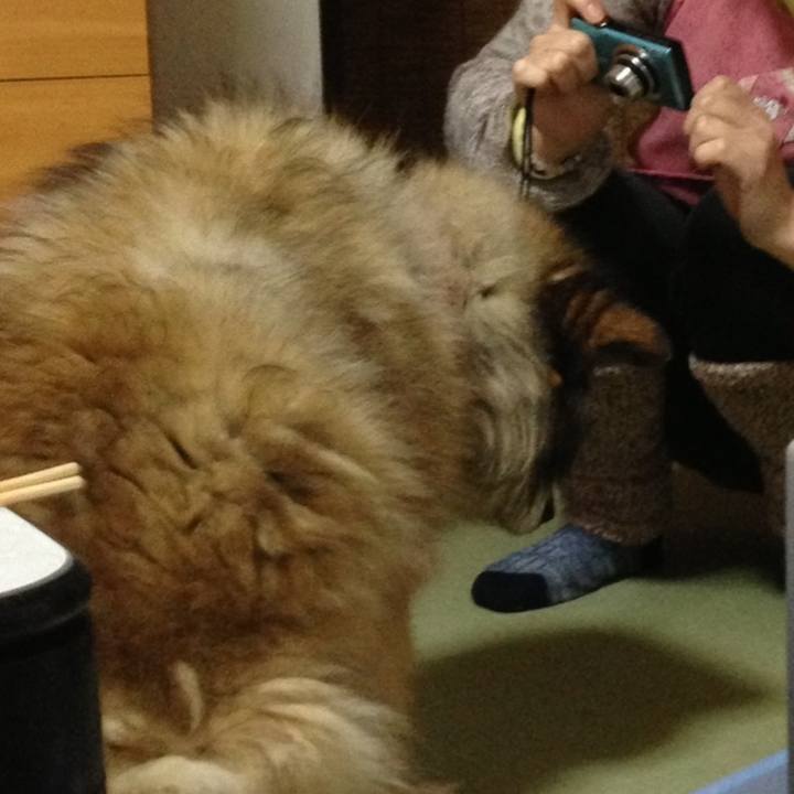 4d901ab9 056e 4e2c ae90 b62a280c8a78 1608125656735