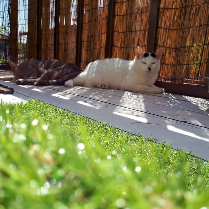 4d903114 61cd 437f b55e 953e37b53696 1526457028369