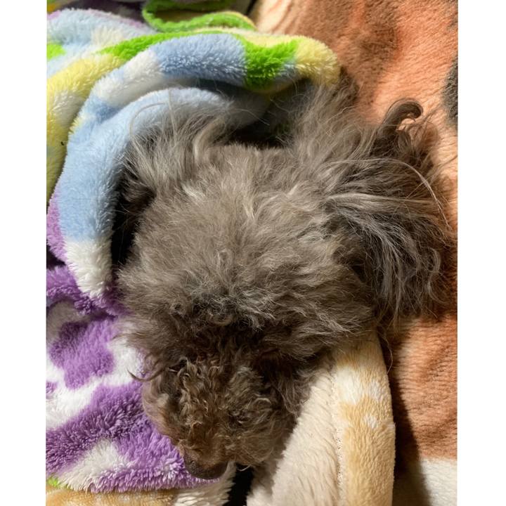 4d903d74 95cb 4ed3 84e8 ffd1dc9415a0 1581498387525