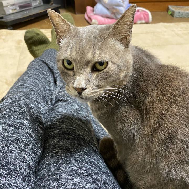 4d905843 e9e6 4917 946f d6b435d157fd 1583158886348