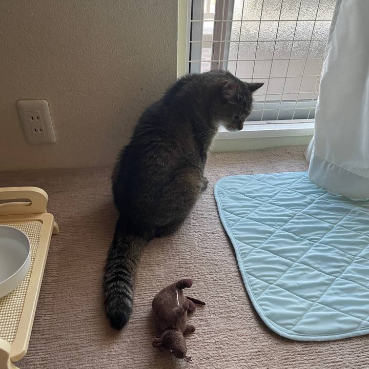 4d909100 52b9 4656 b2f9 a74f1e8ac5ae 1750491128258