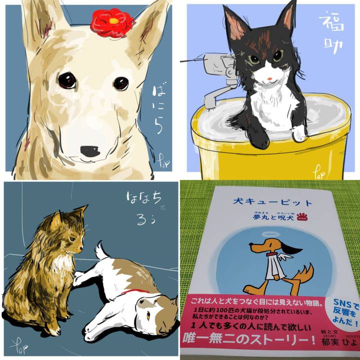 4d90a243 6ce7 46c9 982e 0632520be629 1686626692533