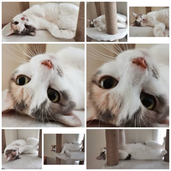 4d90a7fc 1ca3 4277 a1a3 c0451690eaf2 1635048828440