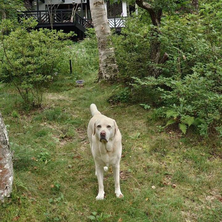 4d90d048 a7aa 40dc a7c7 31700e6e9a89 1723607181947