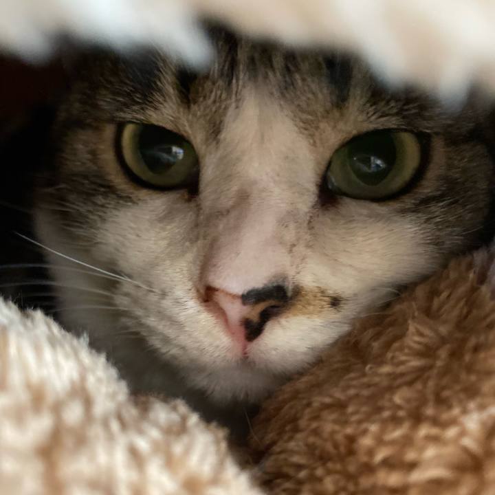 4d90e22e c329 4532 a5c1 36b5524fd578 1733544680917