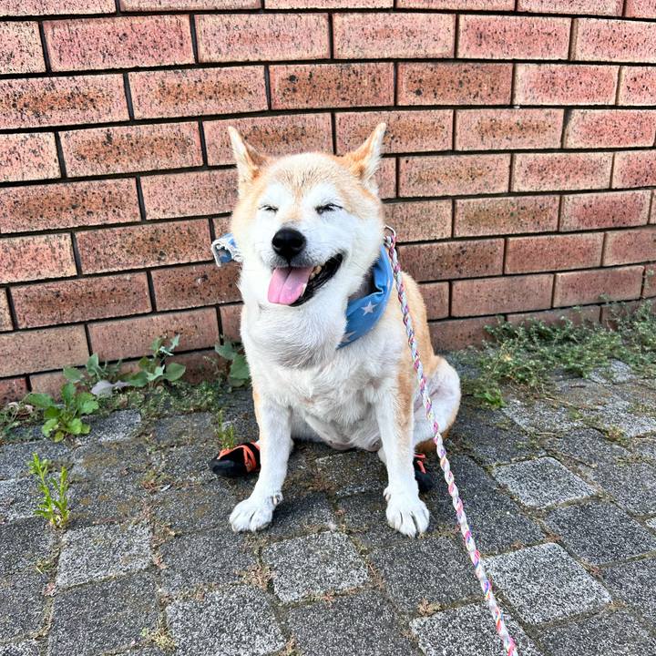 4d90e53f ea4d 47cd 98e6 f9d5ef5e30a0 1753831966117