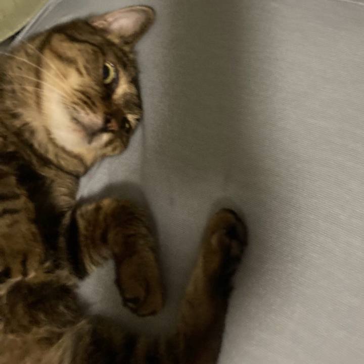 4d914092 05cd 4bbf 91de 86c2d822adfd 1723251549550