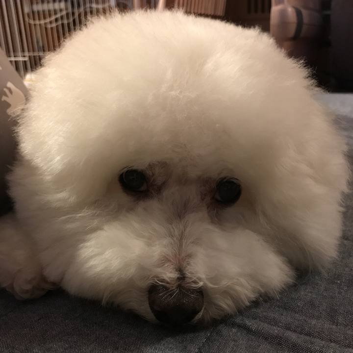 4d915747 418f 494b a765 779e7cc8d3e1 1563528527193