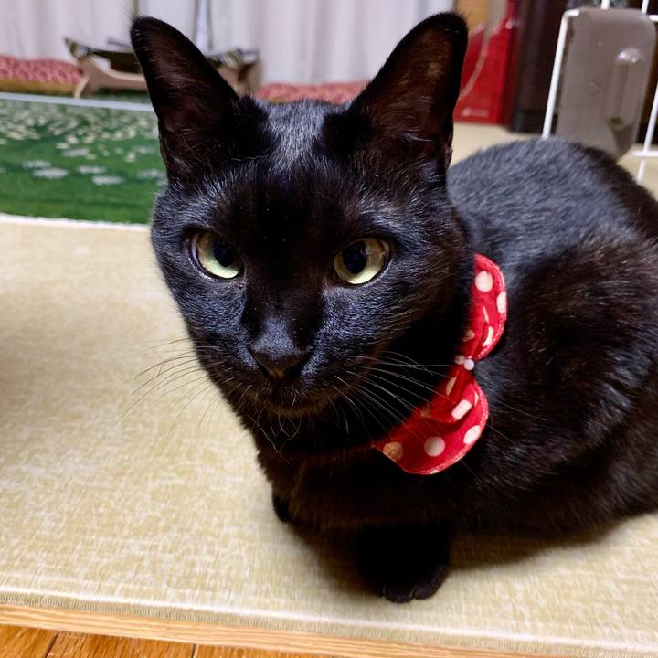 4d9193cf e3c4 43f0 9c4c 909b78548cbc 1681565749430