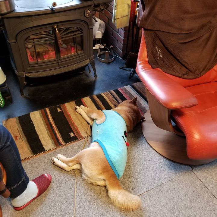 4d91ad54 c18e 4a5b 9de5 c8c20b50f9d6 1584144994128