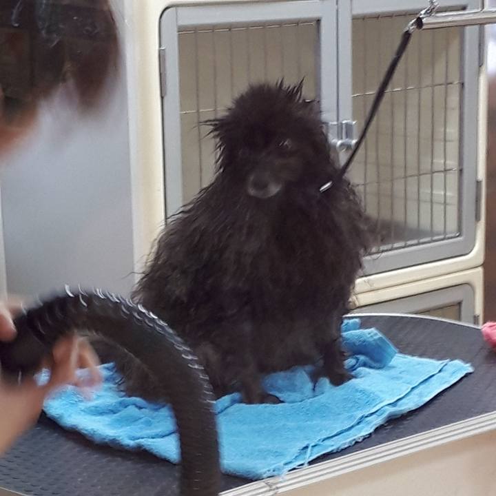 4d9219e3 c307 41f5 8dfd bfba77fa37f1 1520127199449