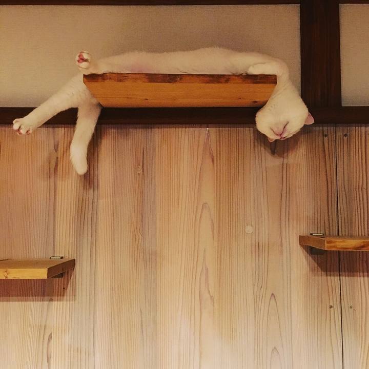 4d92275f 1688 45a8 93f1 143286b9cfd2 1559827495080