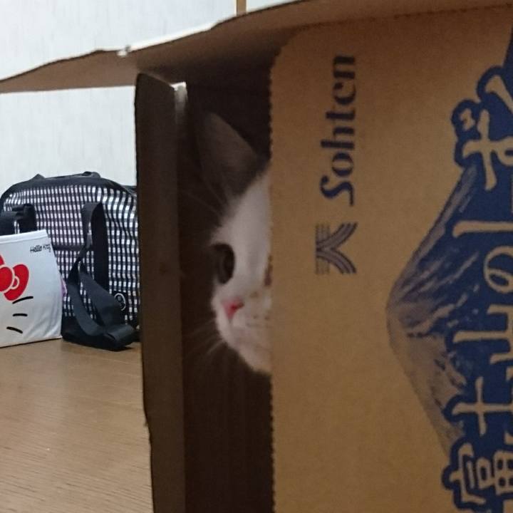 4d925d1a 9bf3 4c66 b064 a6e3d5f5a81b 1529280712054