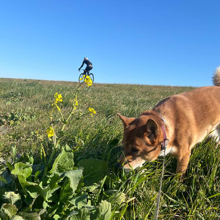 4d92a7b5 51e1 441c 8746 63b18d8d63a4 1706697758811