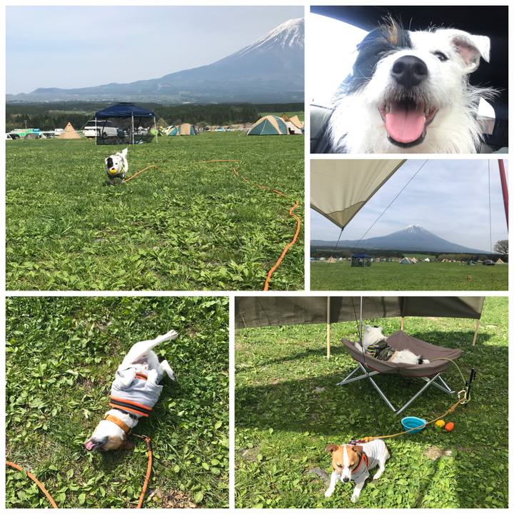 4d92d675 eeec 4a60 8ec4 040d9a66b472 1525154073065