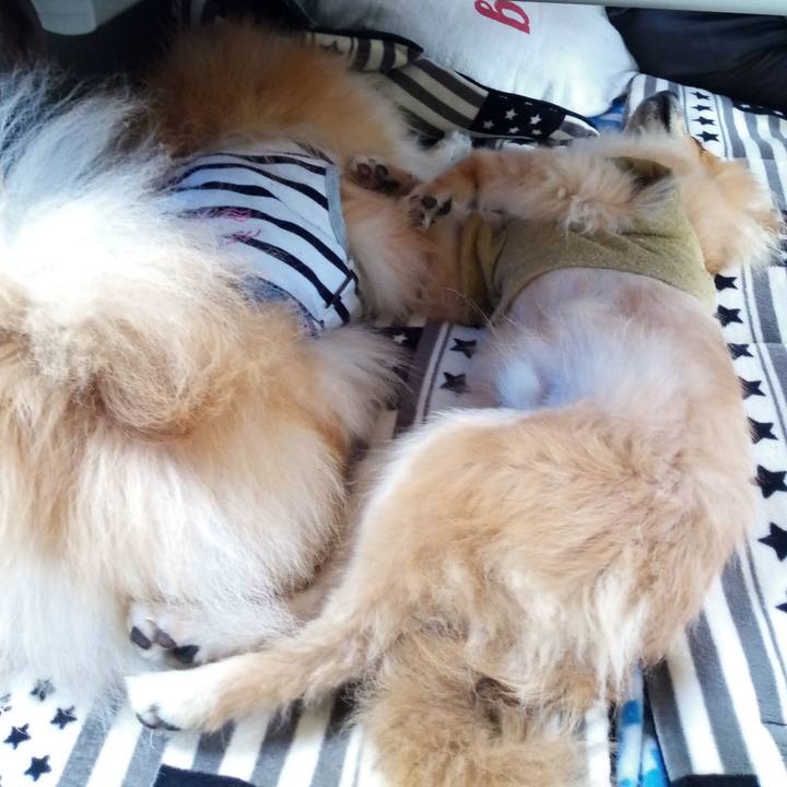 4d930daf 65a4 4059 90c1 2e9853ee5575 1524053917806