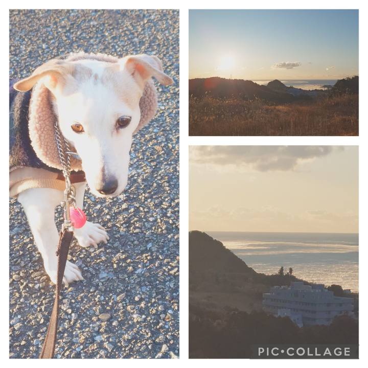 4d9331a4 2436 43b9 97d5 599de82873c4 1770683225235