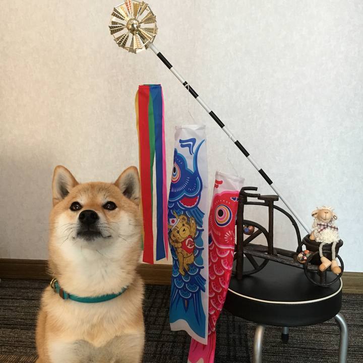 4d936cc8 8619 4f83 8278 cf8d3281bd99 1526371595095