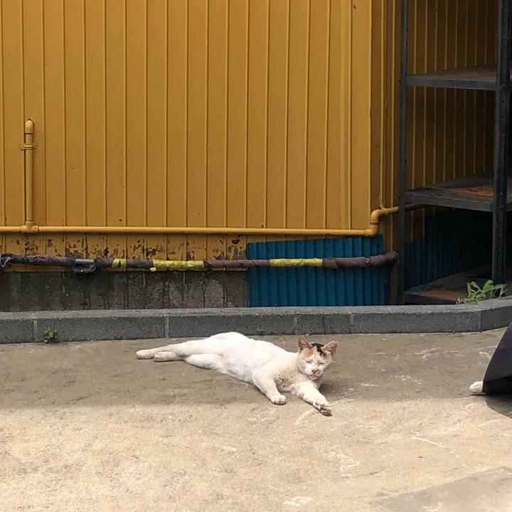 4d937df3 18e9 45e6 aef2 2a6d9efcb33f 1623307534762