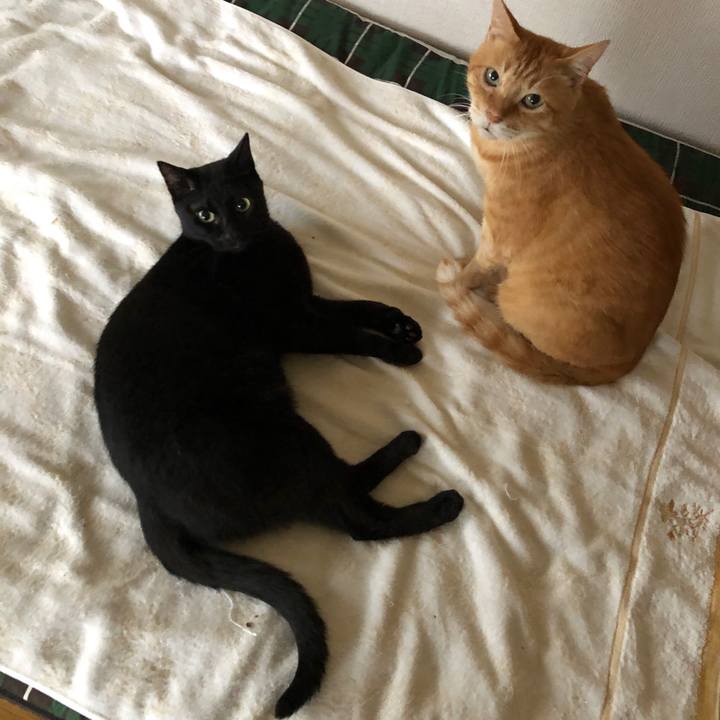 4d93f394 84cd 44ba 9f4d 7c7cec9248b4 1693559325077